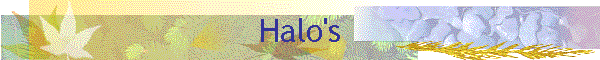 Halo's
