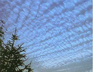 altocumulus2.jpg (13768 bytes)