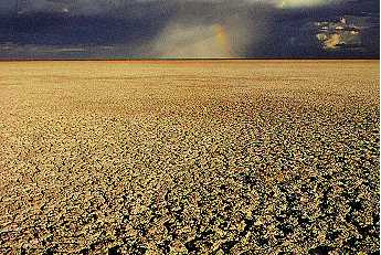 Tijdens een droge periode kan de grond zelfs barsten vertonen doordat de grond letterlijk kurkdroog is.