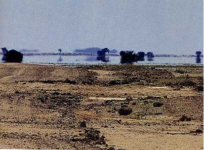 Het lijkt erop dat er water in de woestijn staat. Eigenlijk is het de lucht die weerspiegeld wordt. Het duidelijk te zien rechtsboven waar het boompje staat.