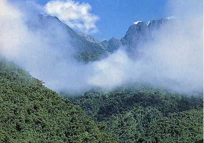 Lucht opgestuwd langs een berghelling kan condenseren tot mist.