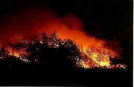 Een natuurbrand in Frankrijk.