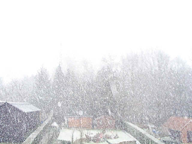 Winterse sneeuwbui in Lummen in januari 1999.