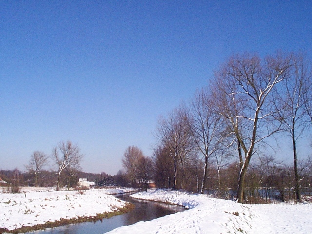 Sneeuw bedekt de grond  rond de Mangelbeek in Lummen op een prachtige winterse dag in februari 1999.