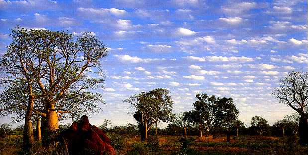 De verstrooiing van licht creëert zowel de blauwe hemel als de witte wolken.