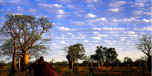 De verstrooiing van licht creert zowel de blauwe hemel als de witte wolken.