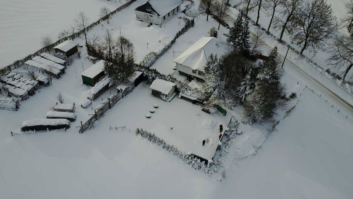 Wirtzfeld, Belgische Ardennen