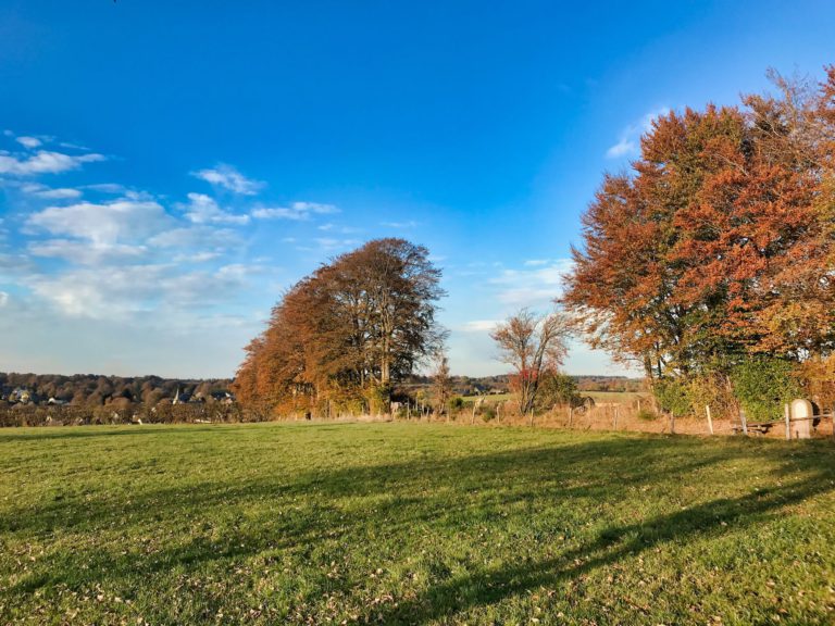 Wirtzfeld