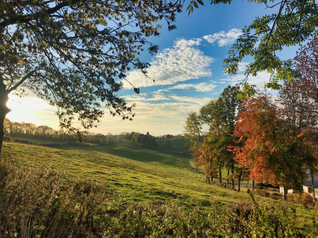 Wirtzfeld, Belgische Ardennen