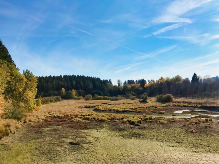 Wirtzfeld