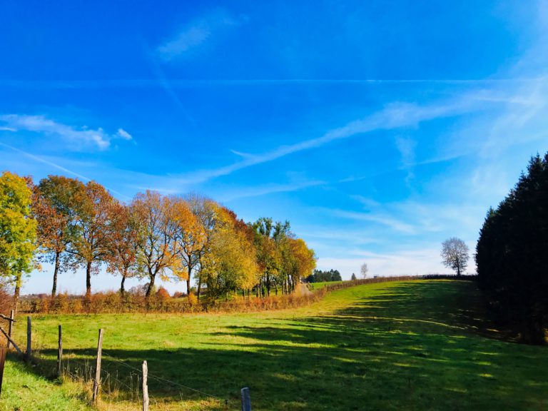 Wirtzfeld