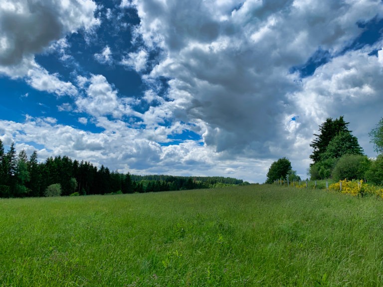Wirtzfeld
