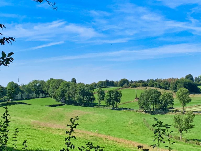 Wirtzfeld