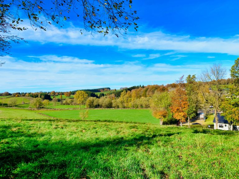 Wirtzfeld