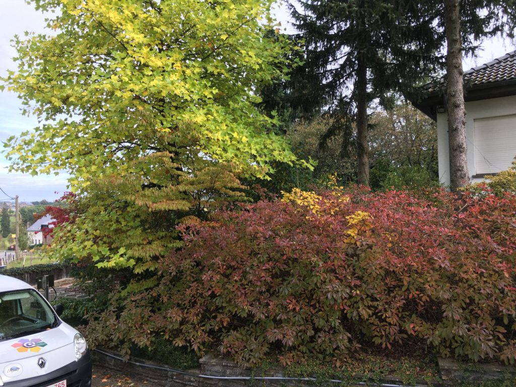 Wirtzfeld herfst