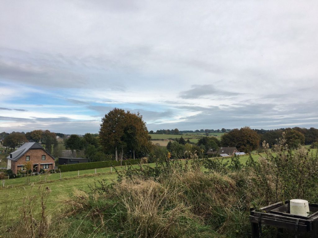 Wirtzfeld herfst