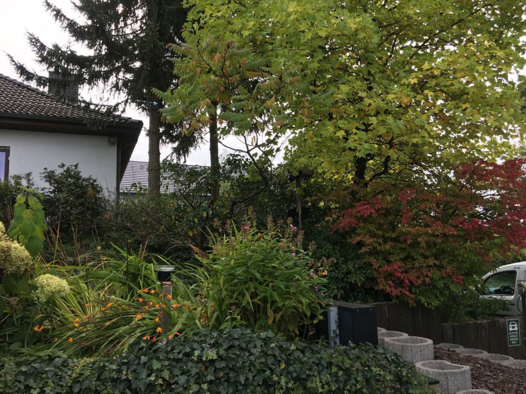 Wirtzfeld herfst